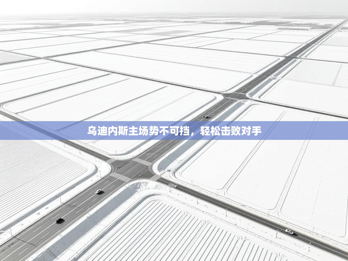 乌迪内斯主场势不可挡,轻松击败对手 第2张