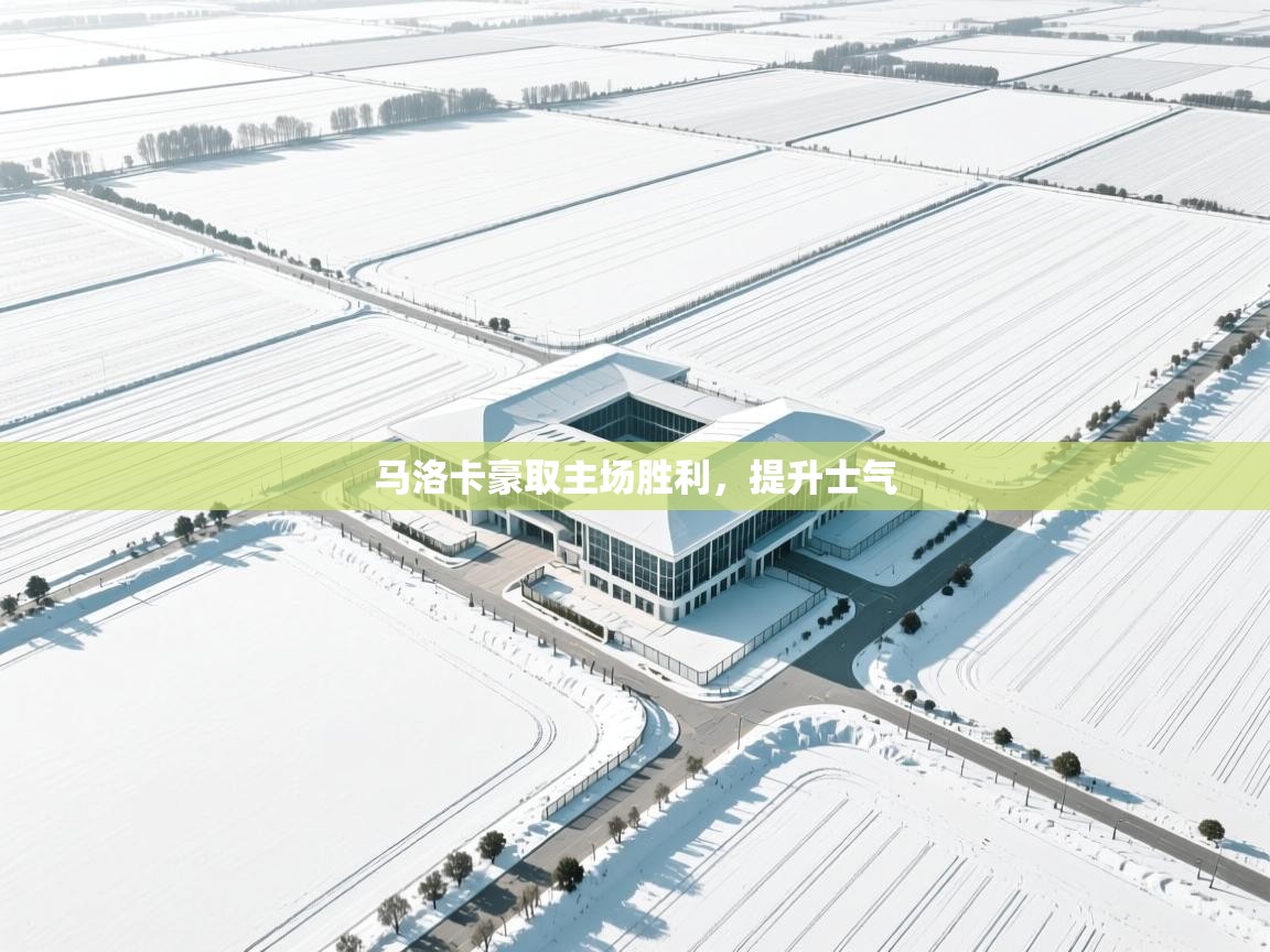 马洛卡豪取主场胜利，提升士气  第2张