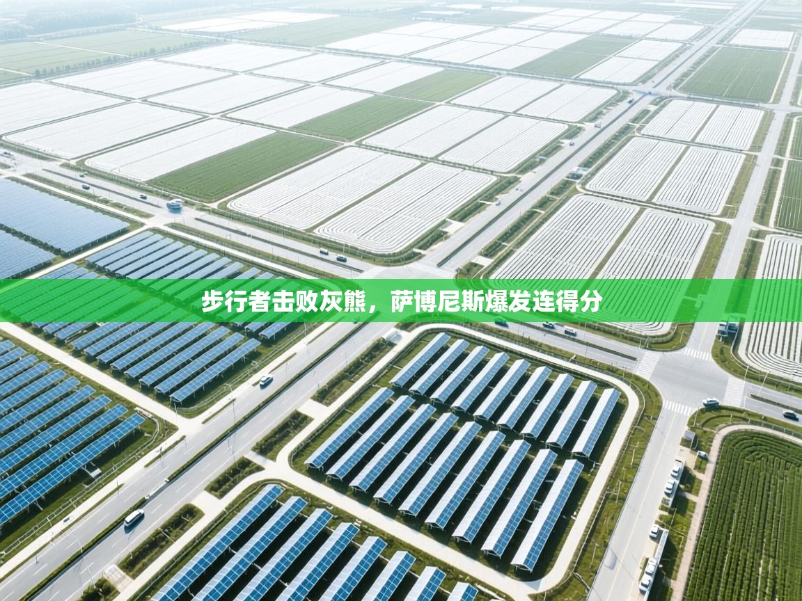 步行者击败灰熊，萨博尼斯爆发连得分  第2张